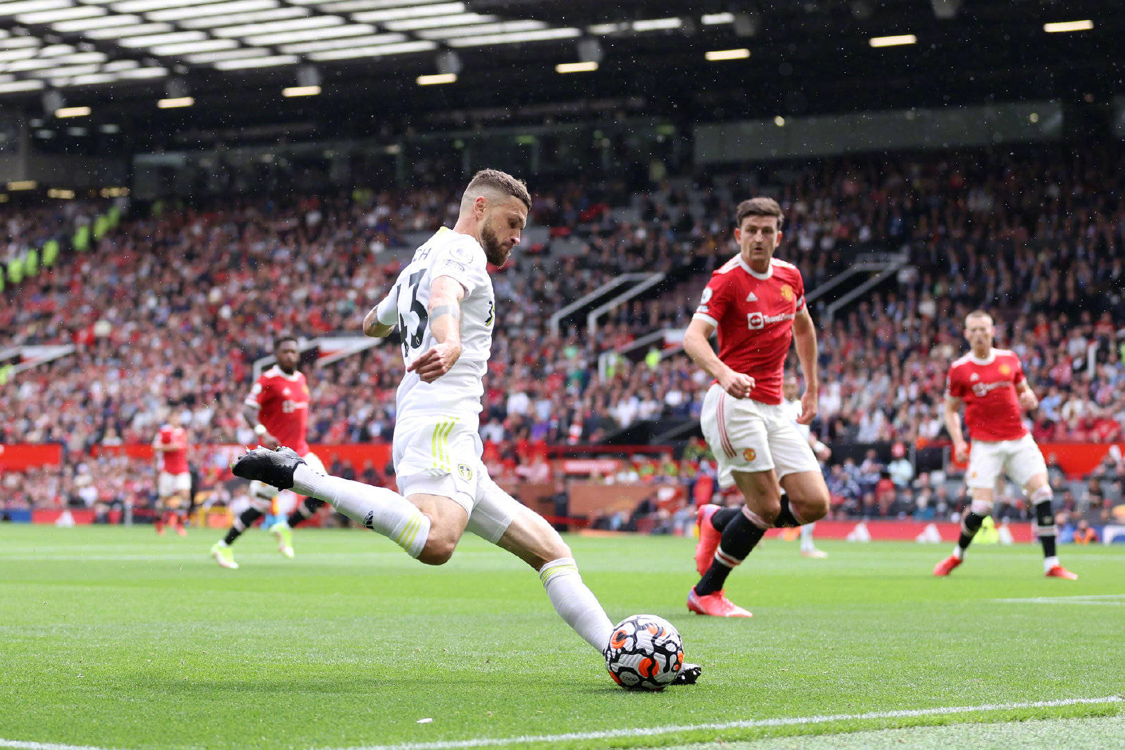 仅仅受到伤 仅仅受到伤